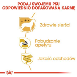 Royal Canin Yorkshire Terrier Adult karma mokra - pasztet, dla psów dorosłych rasy yorkshire terrier saszetka 85g - All4Animals