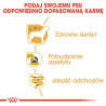 Royal Canin Yorkshire Terrier Adult karma mokra - pasztet, dla psów dorosłych rasy yorkshire terrier saszetka 85g - All4Animals