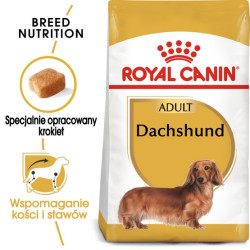Royal Canin Dachshund Adult karma sucha dla psów dorosłych rasy jamnik 1,5kg - All4Animals