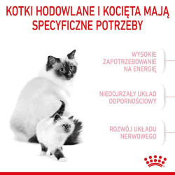 Royal Canin Mother&Babycat karma sucha dla kotek w okresie ciąży, laktacji i kociąt od 1 do 4 miesiąca 400g - All4Animals
