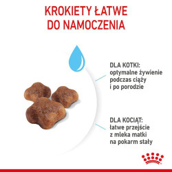 Royal Canin Mother&Babycat karma sucha dla kotek w okresie ciąży, laktacji i kociąt od 1 do 4 miesiąca 400g - All4Animals