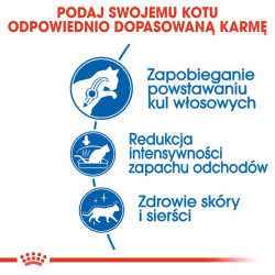 Royal Canin Indoor Long Hair karma sucha dla kotów dorosłych, długowłose, przebywających wyłącznie w domu 400g - All4Animals