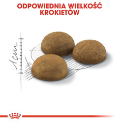 Royal Canin Indoor Long Hair karma sucha dla kotów dorosłych, długowłose, przebywających wyłącznie w domu 400g - All4Animals