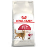 Royal Canin Fit karma sucha dla kotów dorosłych, wspierająca idealną kondycję 400g - All4Animals