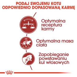 Royal Canin Fit karma sucha dla kotów dorosłych, wspierająca idealną kondycję 400g - All4Animals