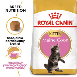 Royal Canin Maine Coon Kitten karma sucha dla kociąt, do 15 miesiąca, rasy maine coon 4kg - All4Animals
