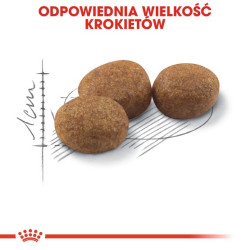 Royal Canin Sterilised karma sucha dla kotów dorosłych, sterylizowanych 4kg - All4Animals