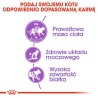 Royal Canin Sterilised karma sucha dla kotów dorosłych, sterylizowanych 400g - All4Animals