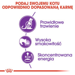 Royal Canin Sensible karma sucha dla kotów dorosłych, o wrażliwym przewodzie pokarmowym 4kg - All4Animals