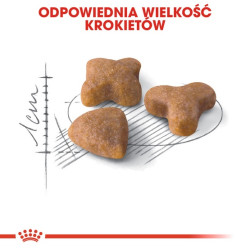 Royal Canin Sensible karma sucha dla kotów dorosłych, o wrażliwym przewodzie pokarmowym 2kg - All4Animals