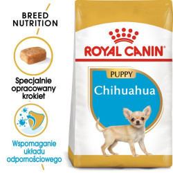Royal Canin Chihuahua Puppy karma sucha dla szczeniąt do 8 miesiąca, rasy chihuahua 0,5kg - All4Animals
