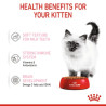 Royal Canin Kitten w sosie karma mokra dla kociąt do 12 miesiąca życia saszetka 85g - All4Animals