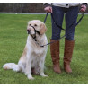 Trixie Uprząż Top Trainer M/2 27cm [TX-13003] - All4Animals