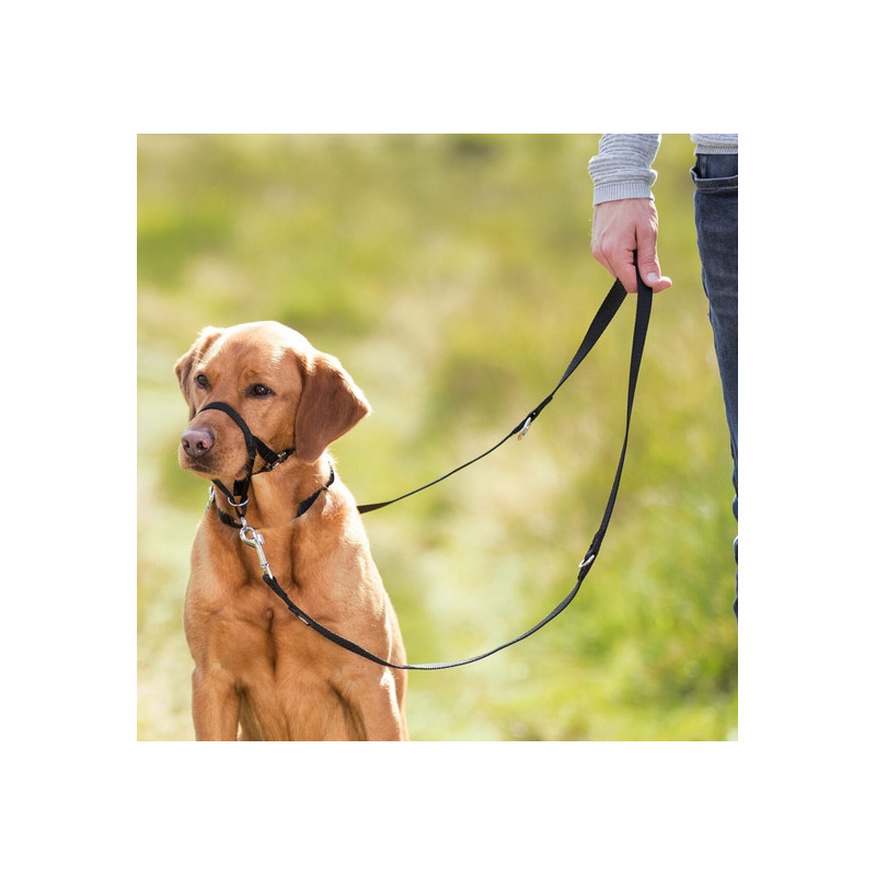 Trixie Uprząż Top Trainer L/3 31cm [TX-13004] - All4Animals