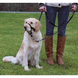 Trixie Uprząż Top Trainer L/3 31cm [TX-13004] - All4Animals