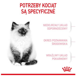 Royal Canin Kitten karma sucha dla kociąt od 4 do 12 miesiąca życia 2kg - All4Animals