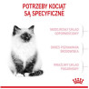 Royal Canin Kitten karma sucha dla kociąt od 4 do 12 miesiąca życia 2kg - All4Animals