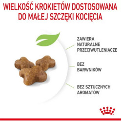 Royal Canin Kitten karma sucha dla kociąt od 4 do 12 miesiąca życia 2kg - All4Animals