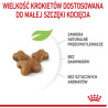 Royal Canin Kitten karma sucha dla kociąt od 4 do 12 miesiąca życia 2kg - All4Animals