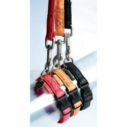 Zolux Smycz Mac Leather 25mm/1.2m Czerwona [522025RO] - All4Animals