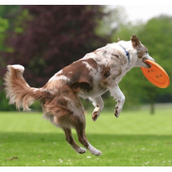 Trixie Rzutka dla psa Dog Activity 19cm [33561] - All4Animals