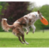 Trixie Rzutka dla psa Dog Activity 19cm [33561] - All4Animals