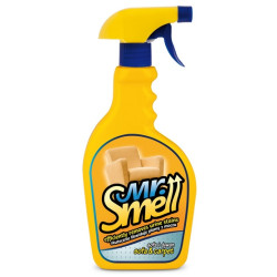 DermaPharm Mr. Smell Sofa i Dywan - na plamy z moczu 500ml - All4Animals
