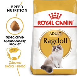 Royal Canin Ragdoll Adult karma sucha dla kotów dorosłych rasy ragdoll 400g - All4Animals