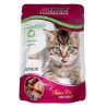 Super Benek saszetka Junior indyk w sosie 100g - All4Animals