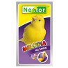 Nestor Melodia dla kanarków - pubudza do śpiewu - All4Animals