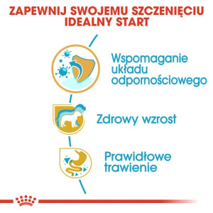 Royal Canin Jack Russell Terrier Puppy karma sucha dla szczeniąt do 10 miesiąca, rasy jack russell terrier 1,5kg - All4Animals