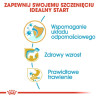 Royal Canin Jack Russell Terrier Puppy karma sucha dla szczeniąt do 10 miesiąca, rasy jack russell terrier 1,5kg - All4Animals
