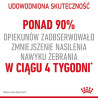 Royal Canin Appetite Control Care karma sucha dla kotów dorosłych, domagających się jedzenia 400g - All4Animals