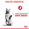 Royal Canin Appetite Control Care karma sucha dla kotów dorosłych, domagających się jedzenia 400g - All4Animals
