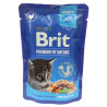 Brit Premium Cat Kitten Kurczak saszetka 100g - All4Animals