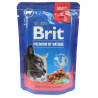 Brit Premium Cat Adult Wołowina + Groszek saszetka 100g - All4Animals