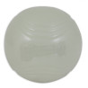 Chuckit! Max Glow Ball Large [32314] - All4Animals