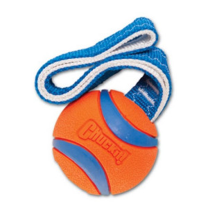 Chuckit! Ultra Tug Medium [231201] - All4Animals