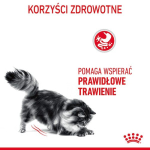 Royal Canin Digestive Care karma sucha dla kotów dorosłych, wspomagająca przebieg trawienia 400g - All4Animals