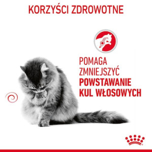 Royal Canin Hairball Care karma sucha dla kotów dorosłych, eliminacja kul włosowych 400g - All4Animals