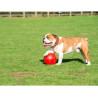Boomer Ball S - 4" / 11cm czerwona - All4Animals