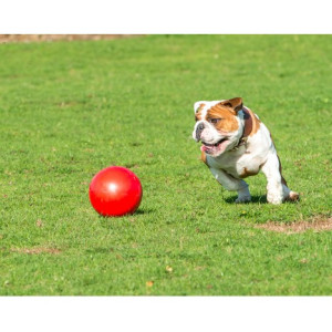 Boomer Ball S - 4" / 11cm czerwona - All4Animals