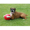 Boomer Ball M - 6" / 15cm czerwona - All4Animals