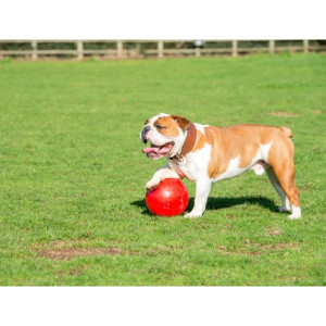 Boomer Ball M - 6" / 15cm czerwona - All4Animals