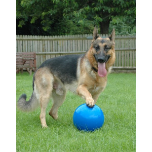 Boomer Ball S - 4" / 11cm niebieska - All4Animals