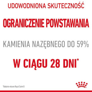 Royal Canin Dental Care karma sucha dla kotów dorosłych, redukująca odkładanie kamienia nazębnego 400g - All4Animals