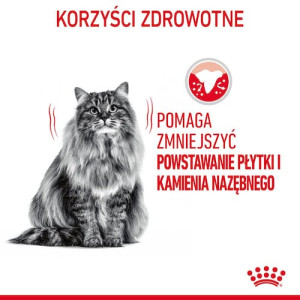 Royal Canin Dental Care karma sucha dla kotów dorosłych, redukująca odkładanie kamienia nazębnego 400g - All4Animals