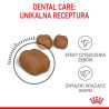 Royal Canin Dental Care karma sucha dla kotów dorosłych, redukująca odkładanie kamienia nazębnego 400g - All4Animals