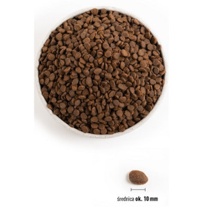 Orijen Regional Red Cat 340g - All4Animals