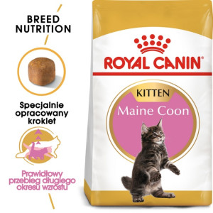 Royal Canin Maine Coon Kitten karma sucha dla kociąt, do 15 miesiąca, rasy maine coon 2kg - All4Animals